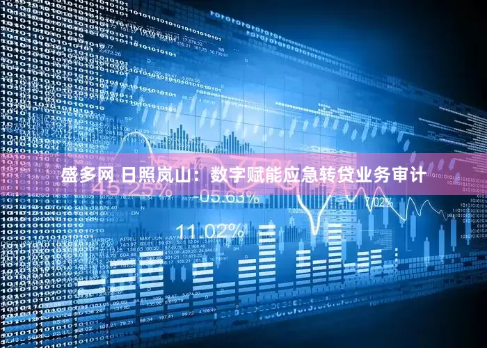 盛多网 日照岚山：数字赋能应急转贷业务审计
