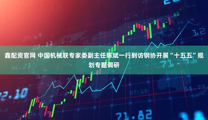 鑫配资官网 中国机械联专家委副主任陈斌一行到访钢协开展“十五五”规划专题调研