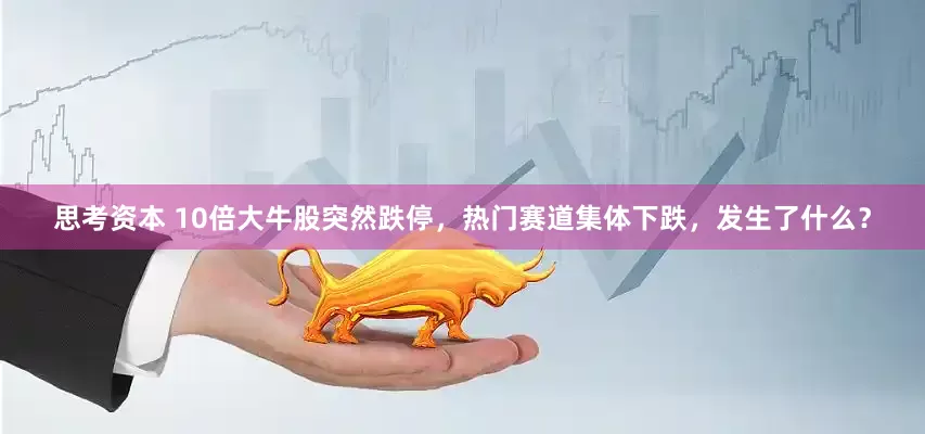 思考资本 10倍大牛股突然跌停，热门赛道集体下跌，发生了什么？